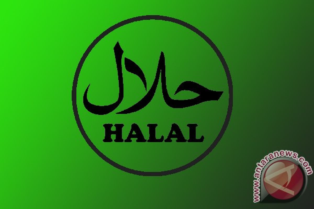 Kanwil Kemenag Sumsel sosialisasikan gerakan masyarakat halal