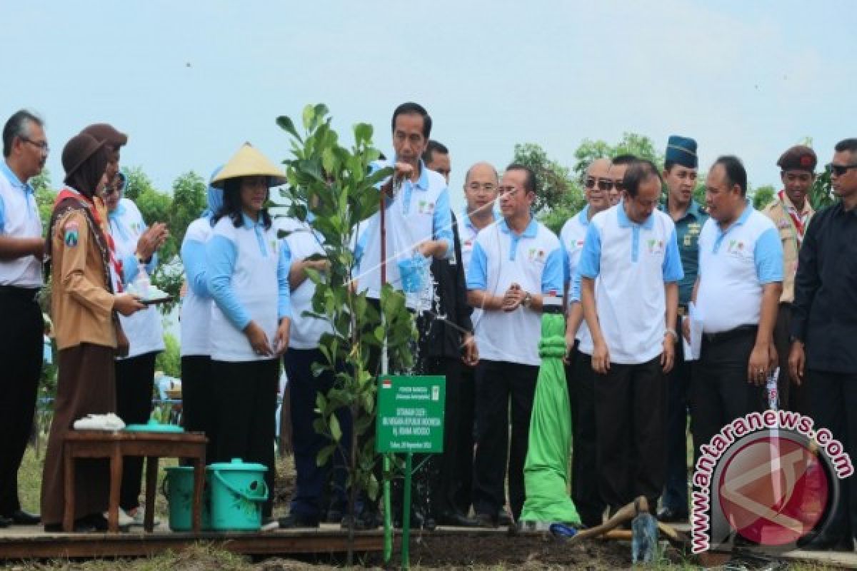 Presiden Tanam Pohon Awali Pencatatan Rekor Dunia