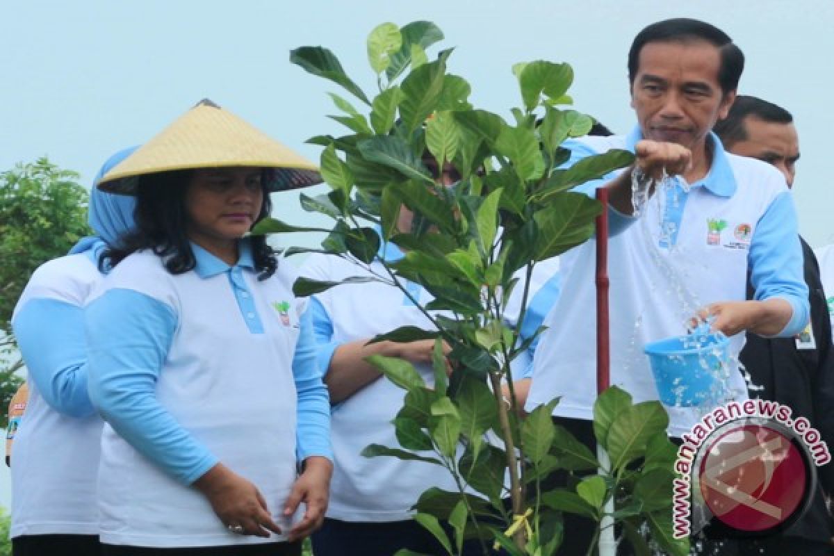 Presiden minta semua pohon yang ditanam dipelihara, warga ragu