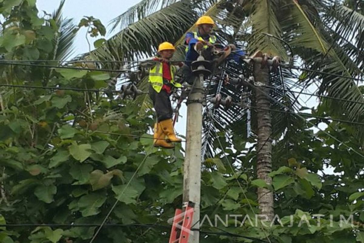 PLN: Puluhan Meteran Listrik Warga Tersambar Petir