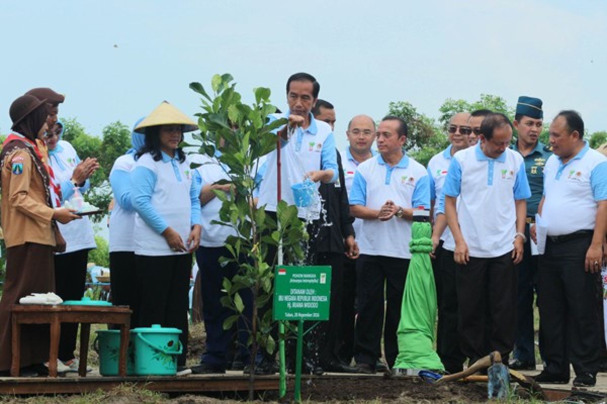 President Jokowi plants tree to mark world record event