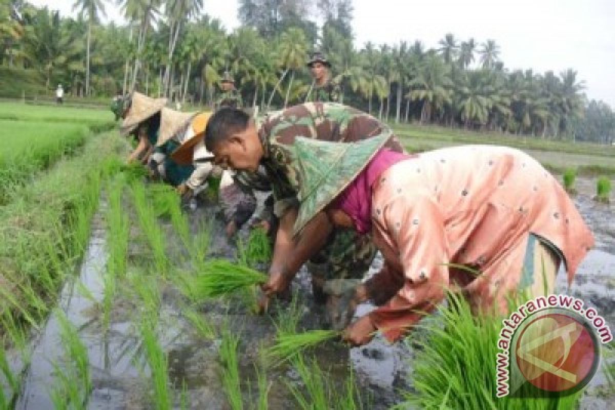 Camat Kupang Tengah Apresiasi Kinerja PPL