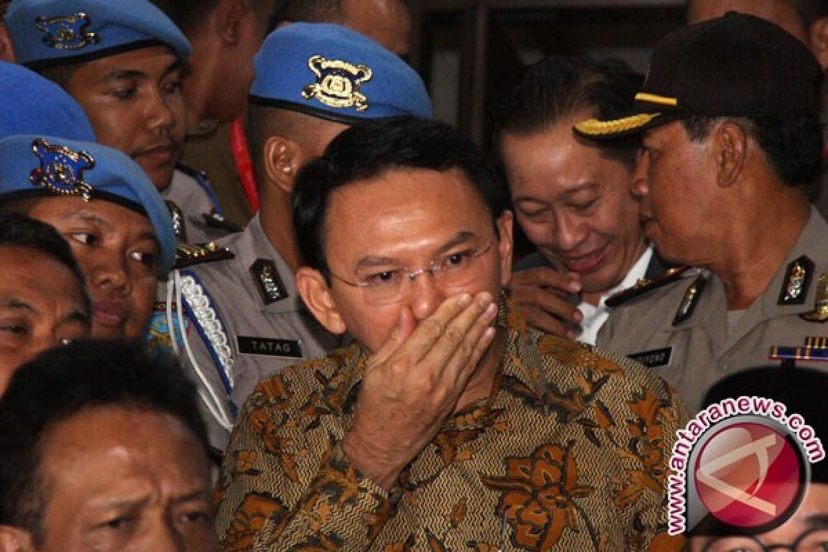 Kuasa Hukum Cek Soal Peristiwa Pidana Ahok