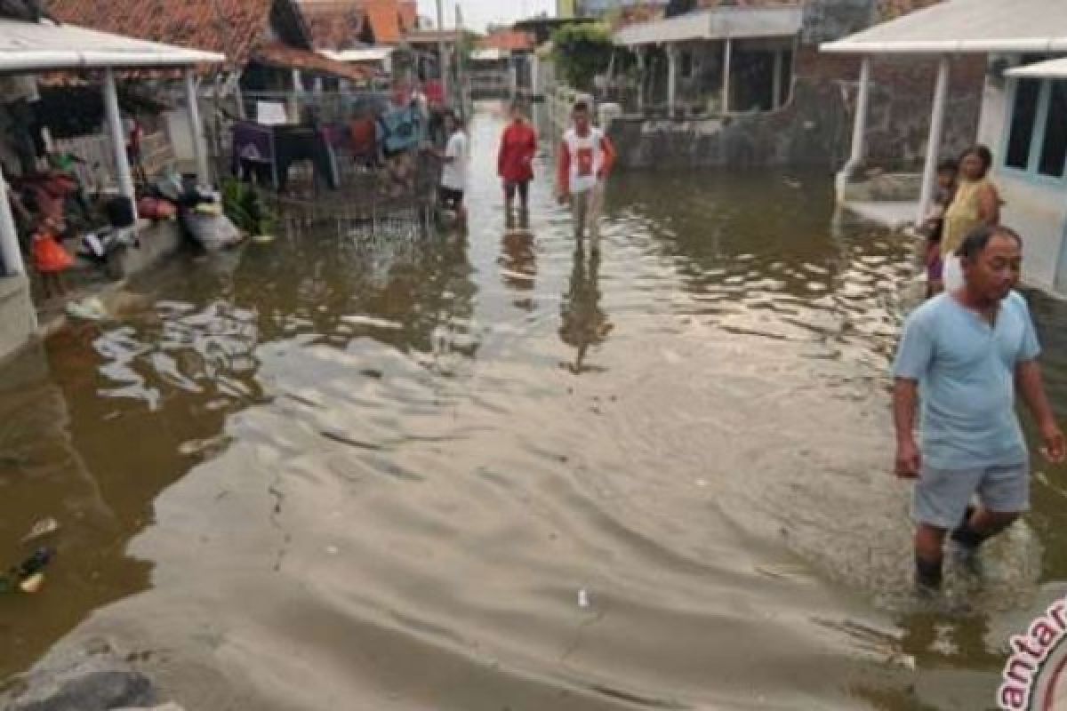 Banjir Rob Rendam Sejumlah Rumah Di Dumai