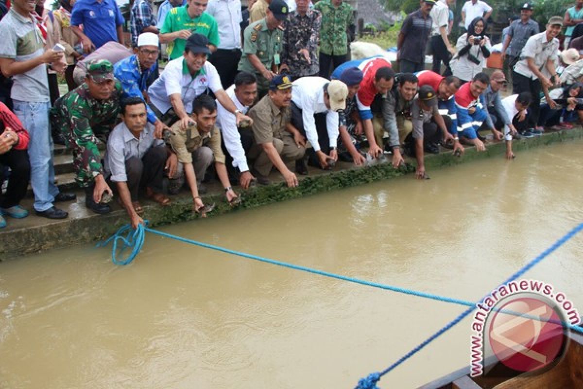 YSCLI-Pertamina lepas 50 ekor tuntong