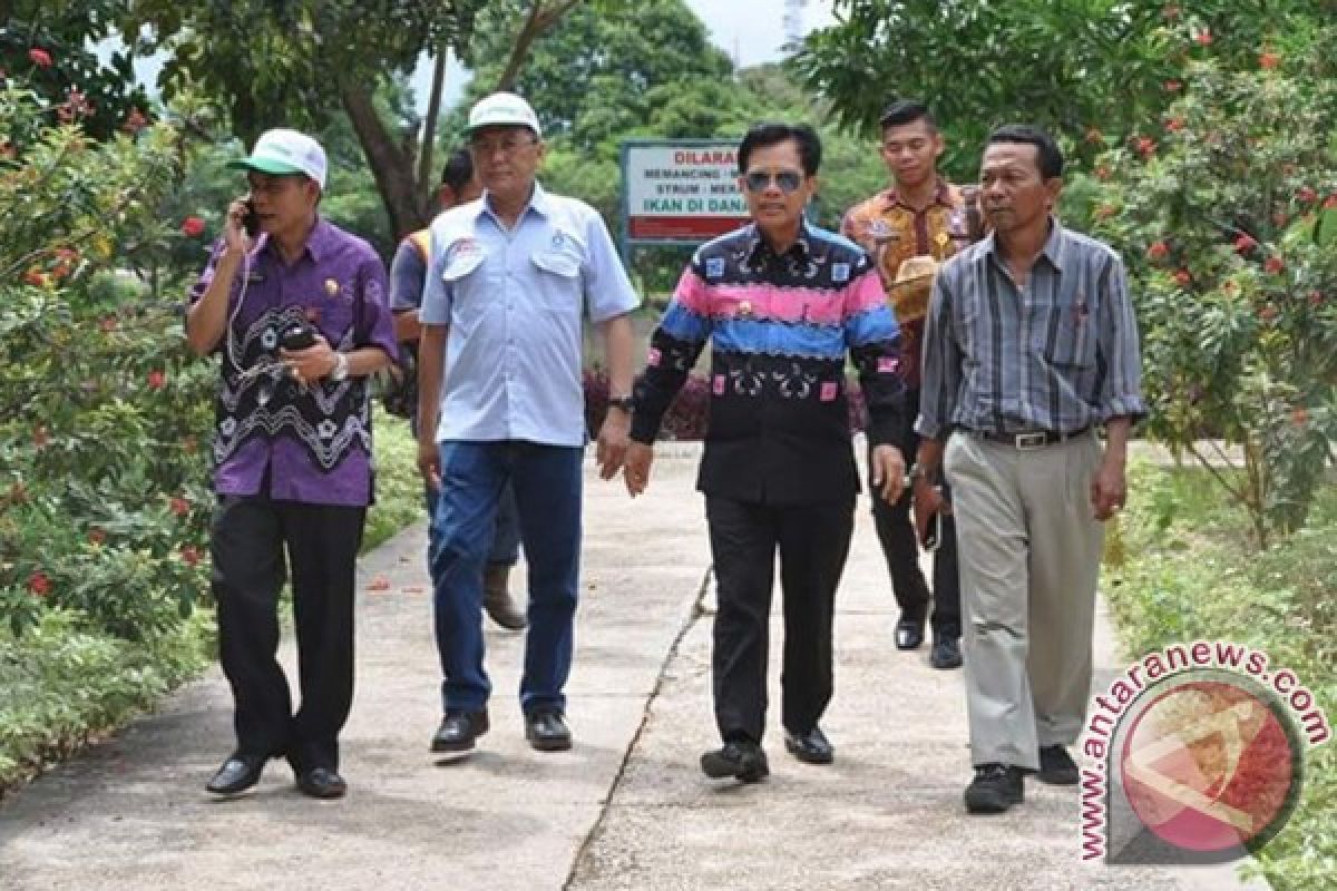 Percantik Kota Tapin Dengan Pengembangan RTH