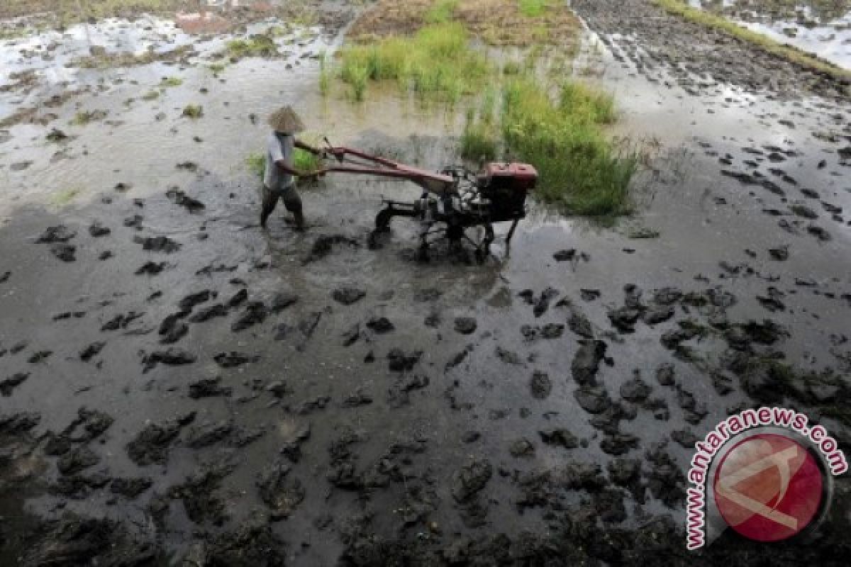 Sulbar Evaluasi Program Percetakan Sawah Baru