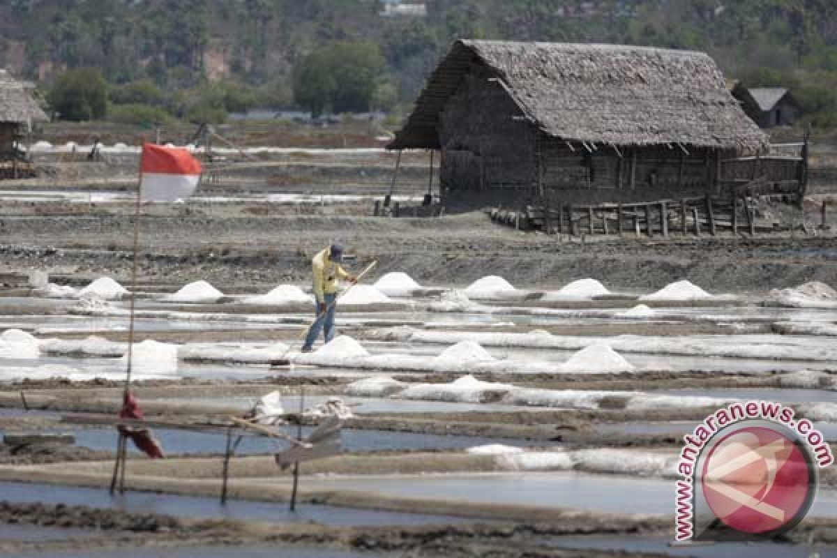 Pengembangan Garam Bipolo Capai 8.000 Hektare