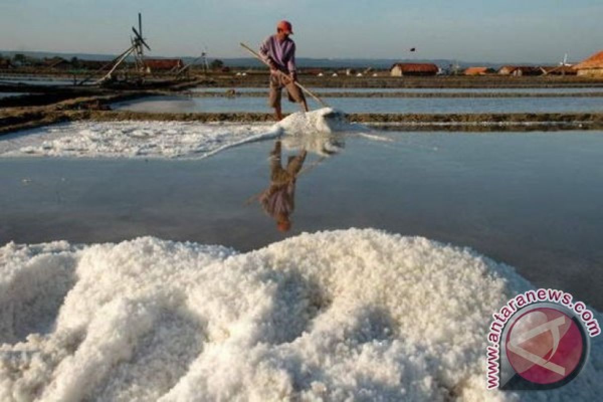 Indonesia`s Salt Production Falls Short of Target
