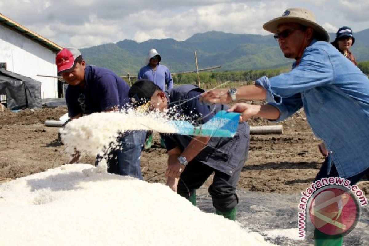 Indonesia's Salt Production Falls Short Of Target