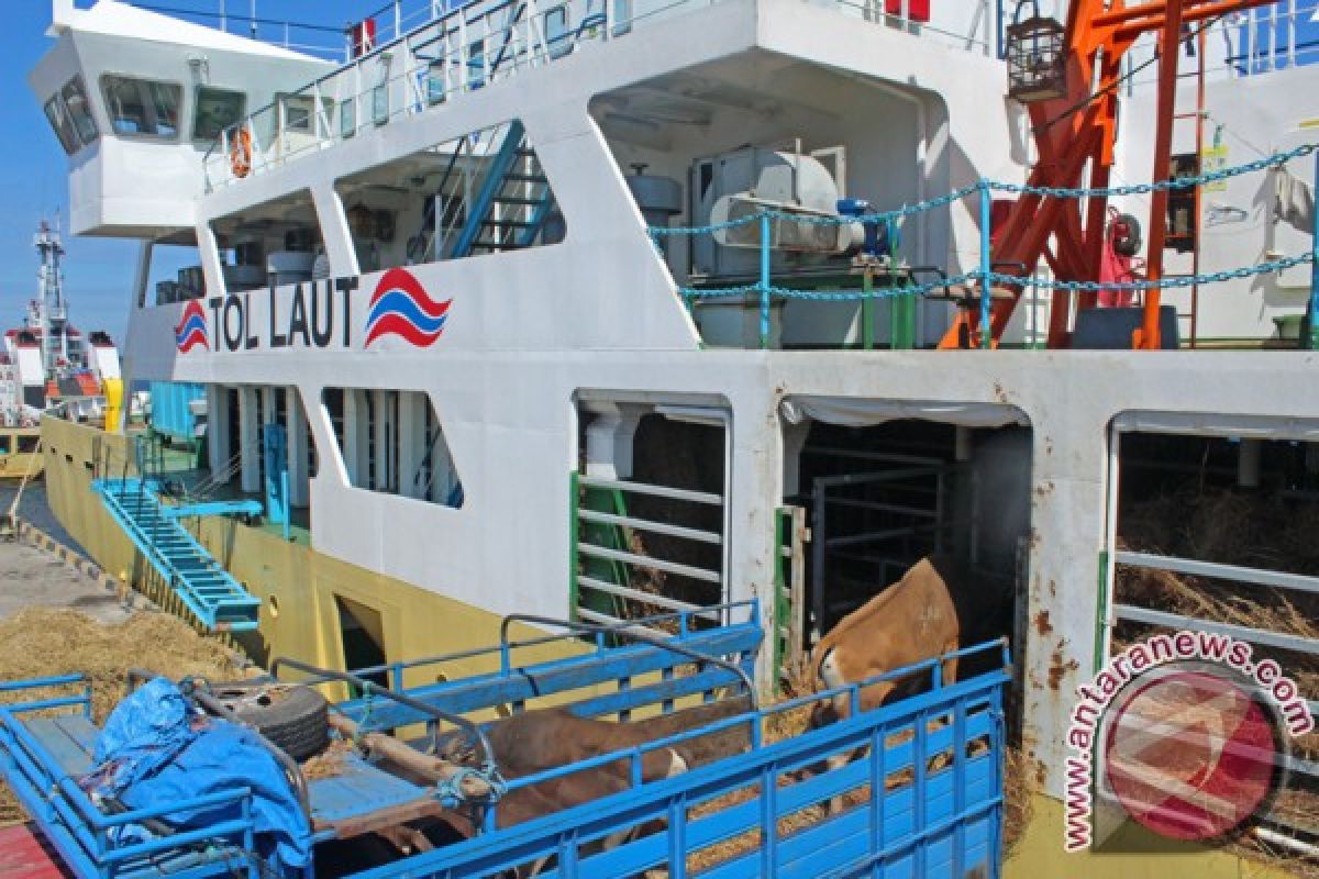 Pemkab Kupang Bangun Dermaga Khusus Angkut Ternak
