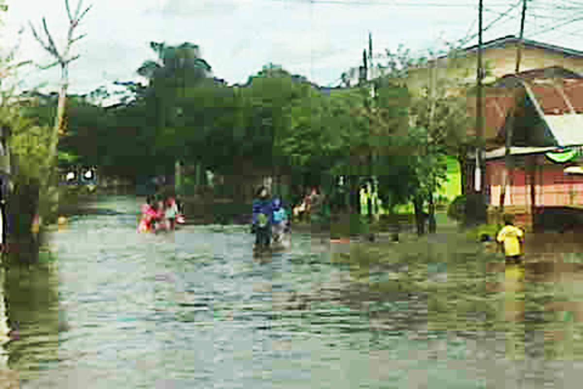 Lahan Pertanian Warga Singkawang Rusak Terkena Banjir