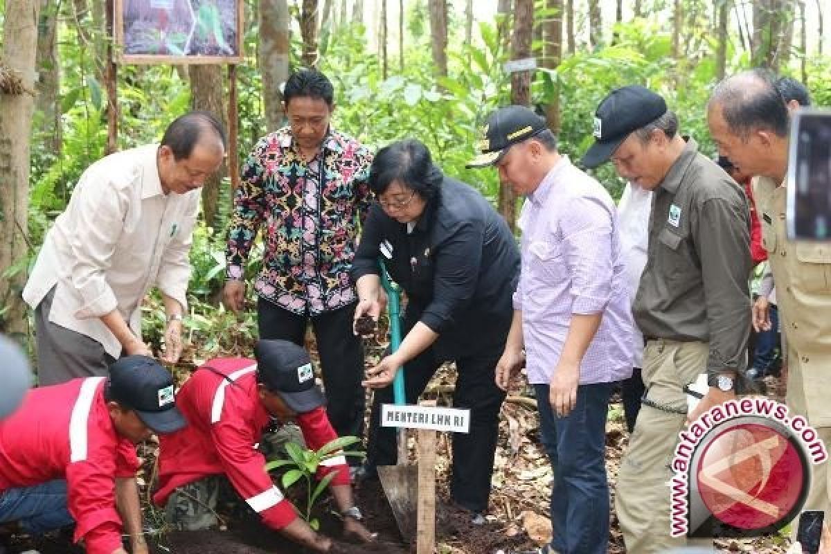 Menteri LHK Ajak Tunbuhkan Semangat Menanam Pohon 