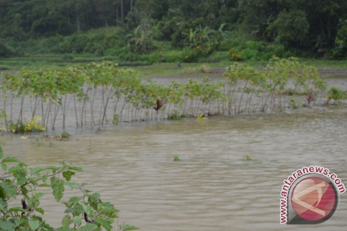 Lima Kecamatan Di Langkat Banjir