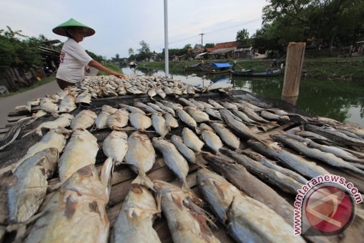 KKP : ikan bahan pangan yang mudah diproduksi