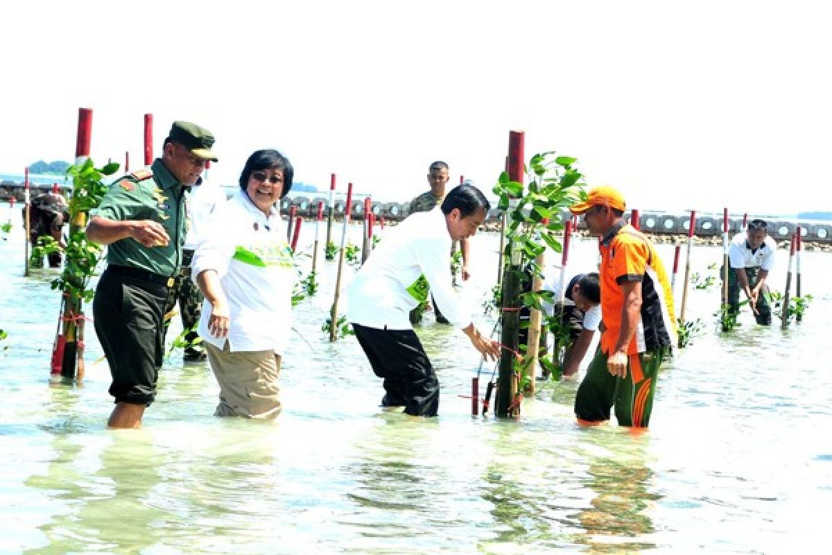 Menteri LHK : banyak ancaman pesisir harus diatasi