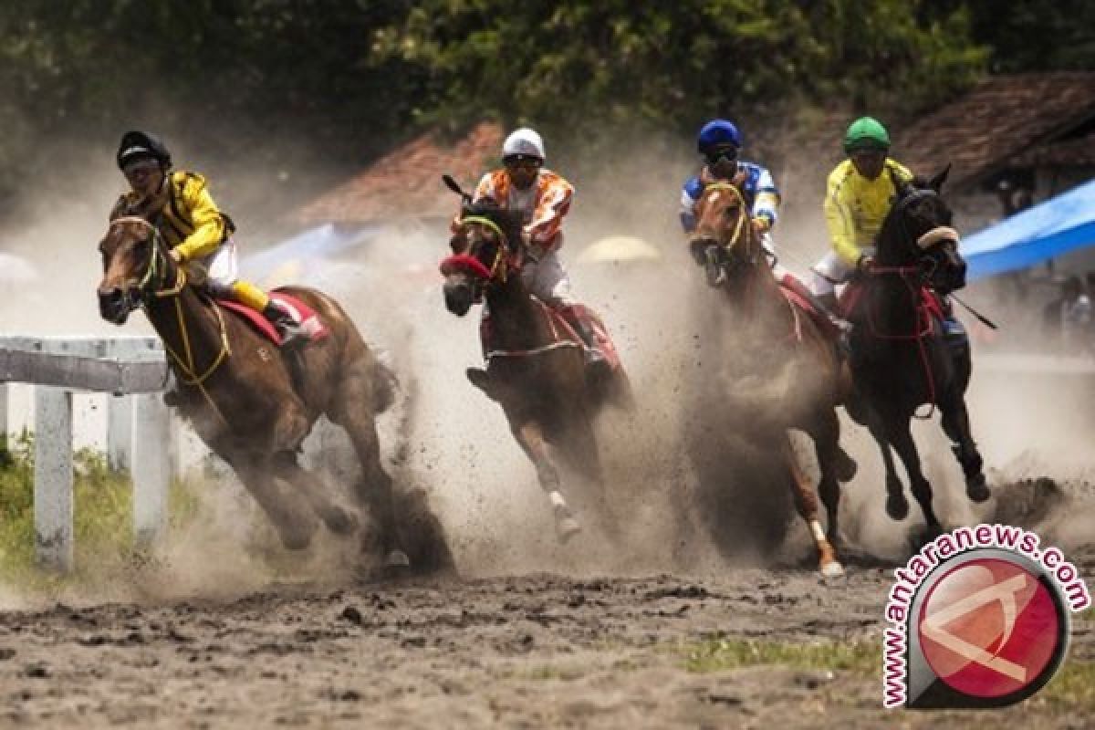 Kuda Delima Queen Juara Sawahlunto Derby 2016