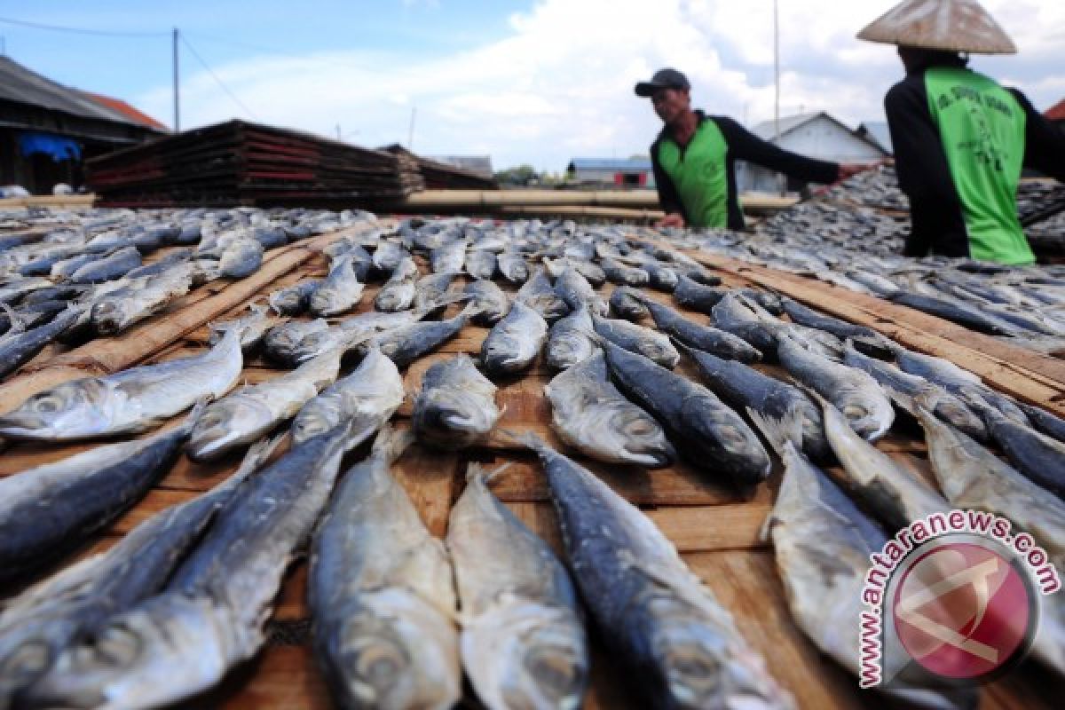 Inilah Keluhan Pengusaha Ikan Asin Akibat Harga Garam Naik