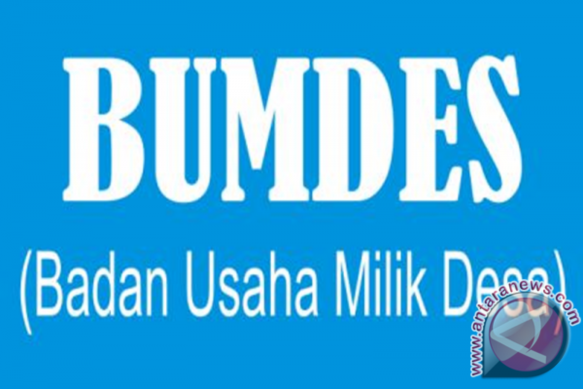 Kades Di Kalsel Dapat Pelatihan Membangun Bumdes