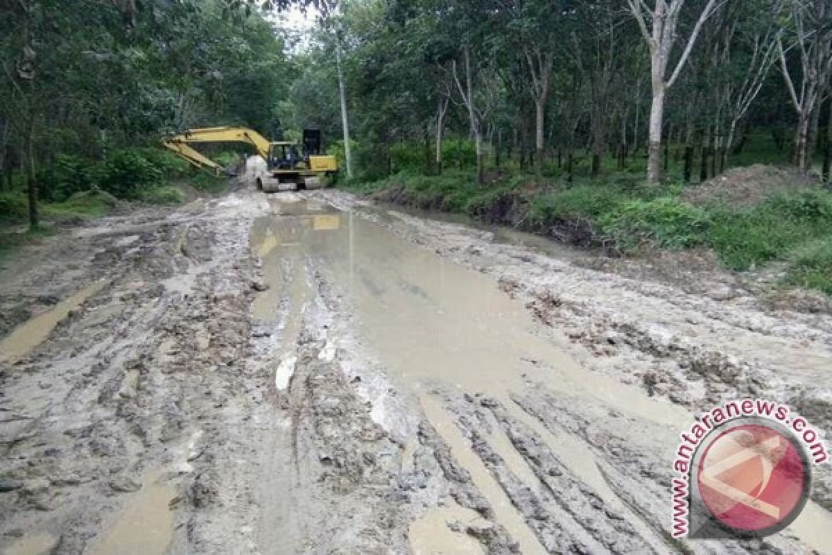 Jalan lintas perawang Riau yang rusak ditanami pohon