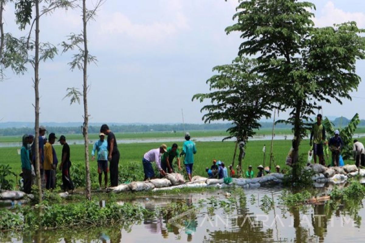 BPBD Bojonegoro Manfaatkan Pompa Air Kurangi Banjir