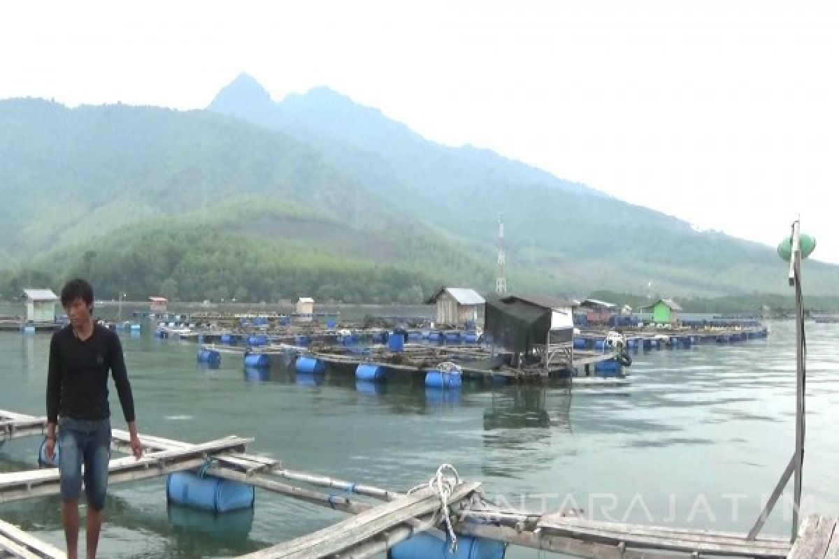 Menengok Kampung Keramba Jaring Apung di Situbondo (Video)