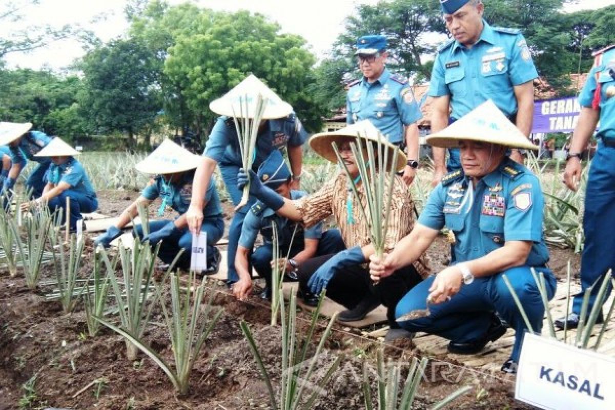 Kasal Resmikan Budidaya Tanaman Lahan Kering 