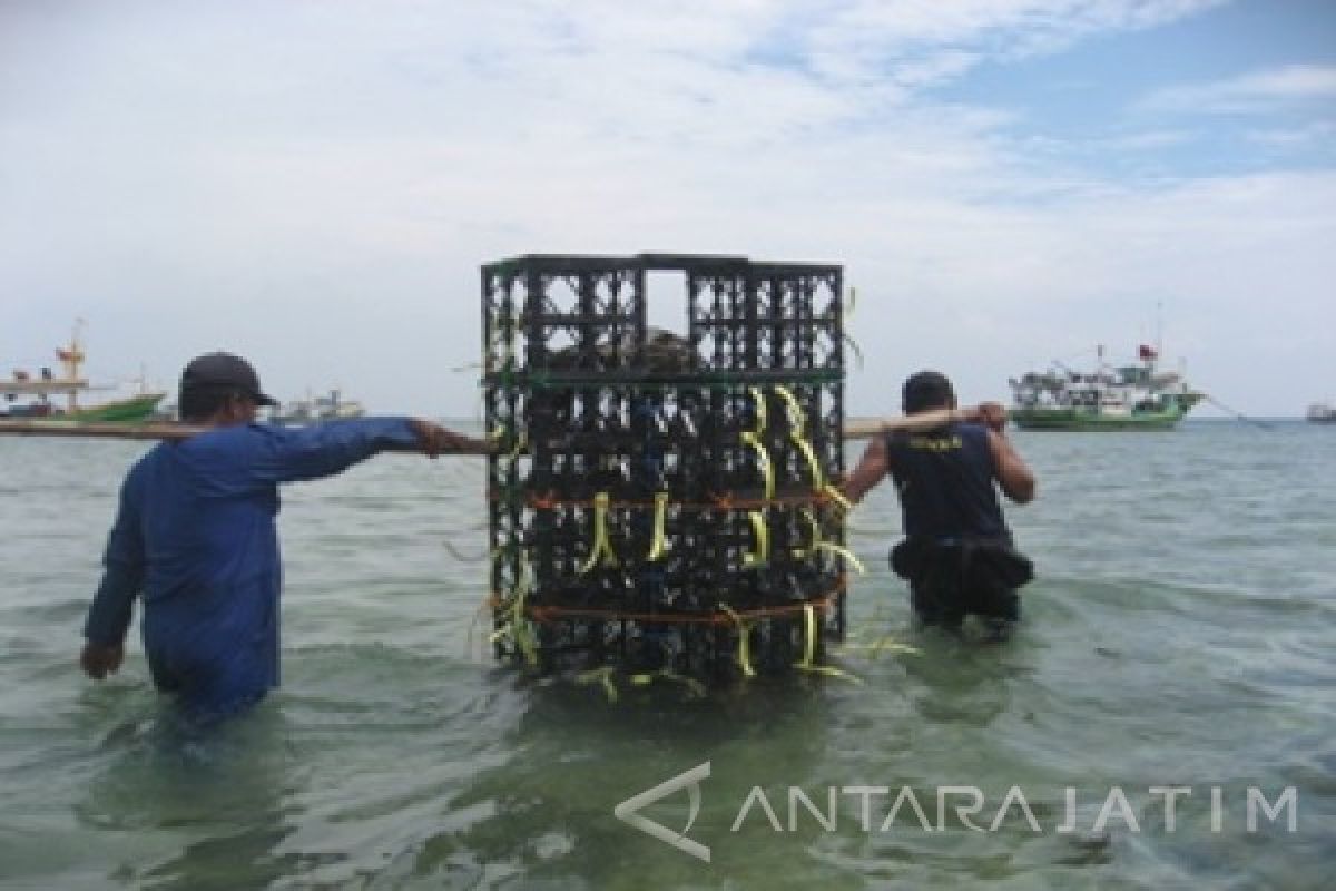 Diskanla Probolinggo Tenggelamkan 40 Modul Rumah Ikan 