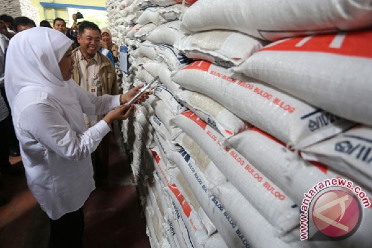 Menteri Khofifah: Korban gempa Aceh butuh relawan psikososial