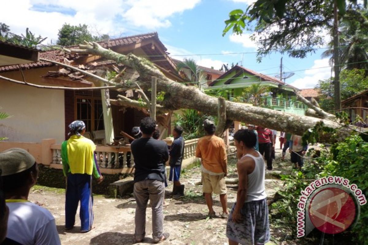 Warga Oebelo Bersihkan Rumah dari Pohon Tumbang