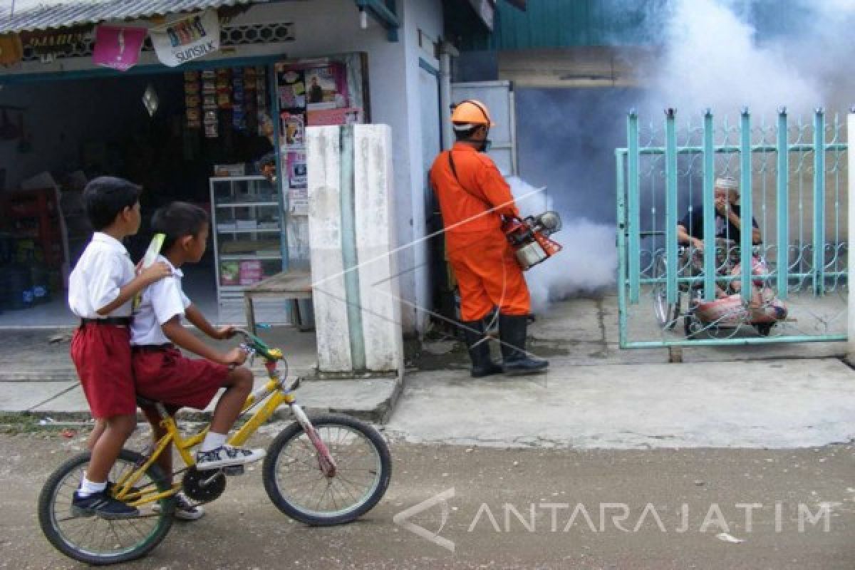 Kasus Penyakit Demam Berdarah di Ngawi Menurun Signifikan