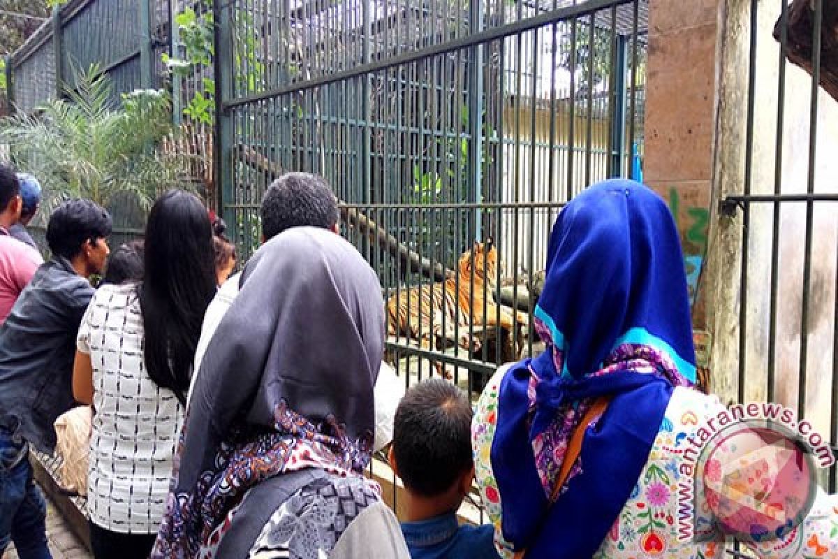 Hari Libur Taman Hewan Pematangsiantar Ramai Pengunjung Luar Kota