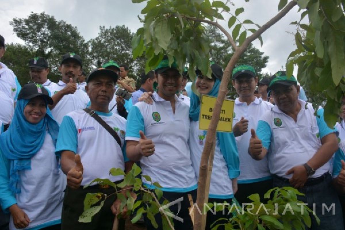 Trenggalek Dapat Bantuan 1,89 Juta Bibit Hijaukan Hutan Gundul