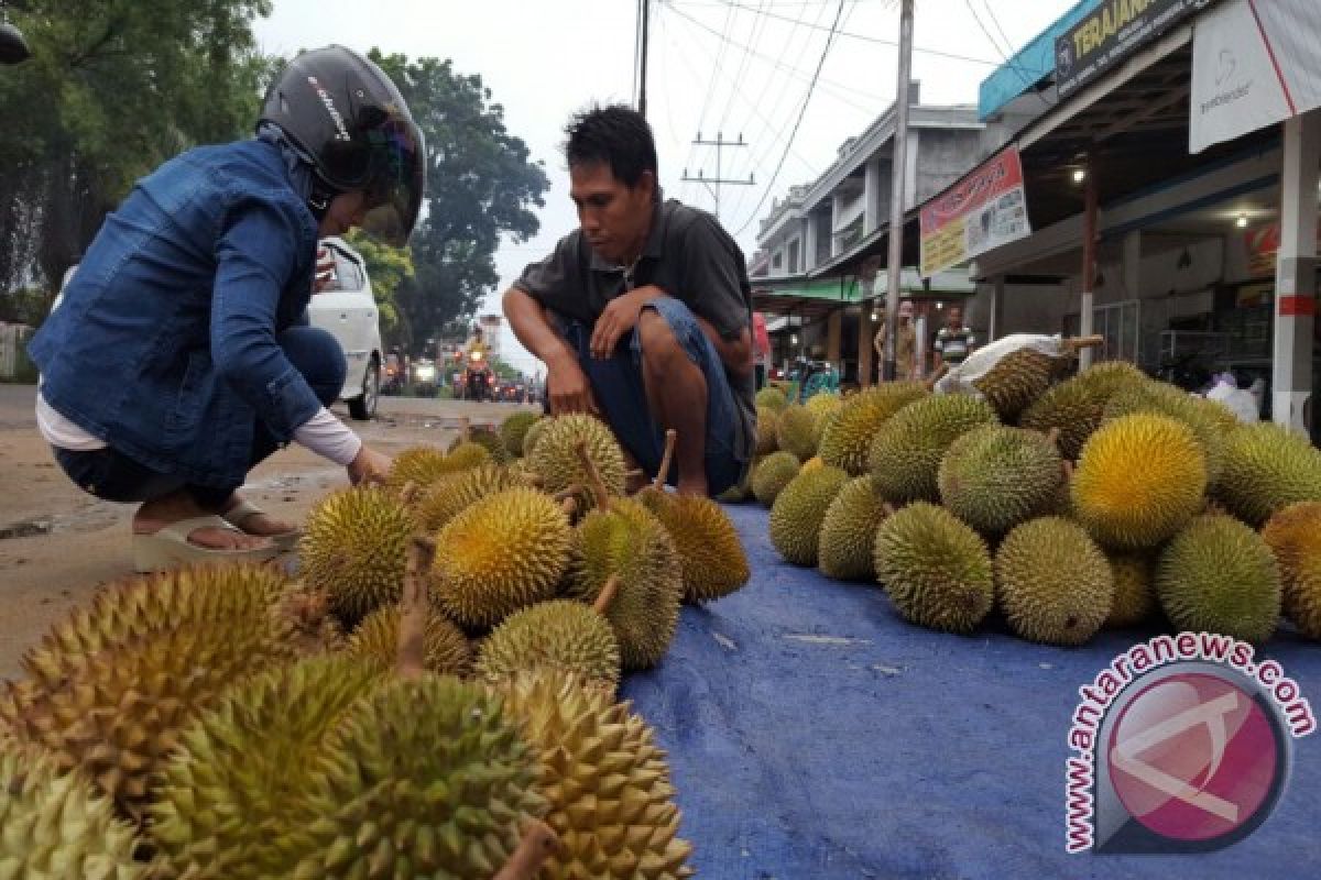 Satpol PP tertibkan pedagang durian pemicu kemacetan