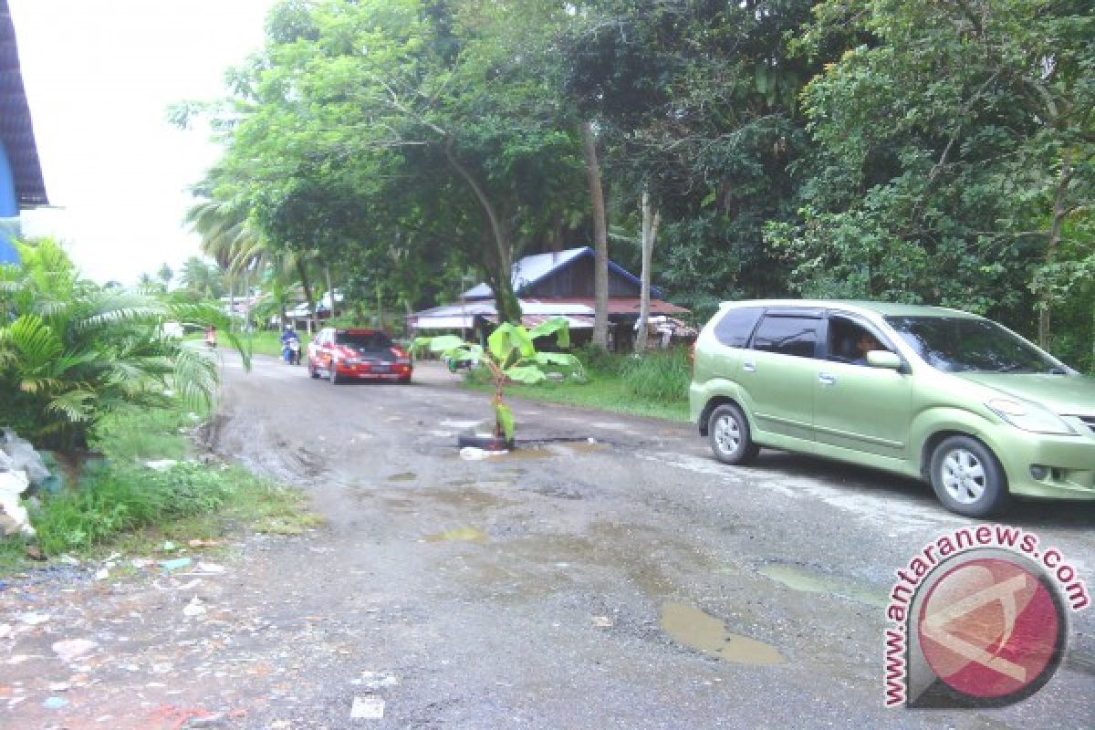 Warga Tanami Pisang di Jalan Alternatif Padang-Pariaman