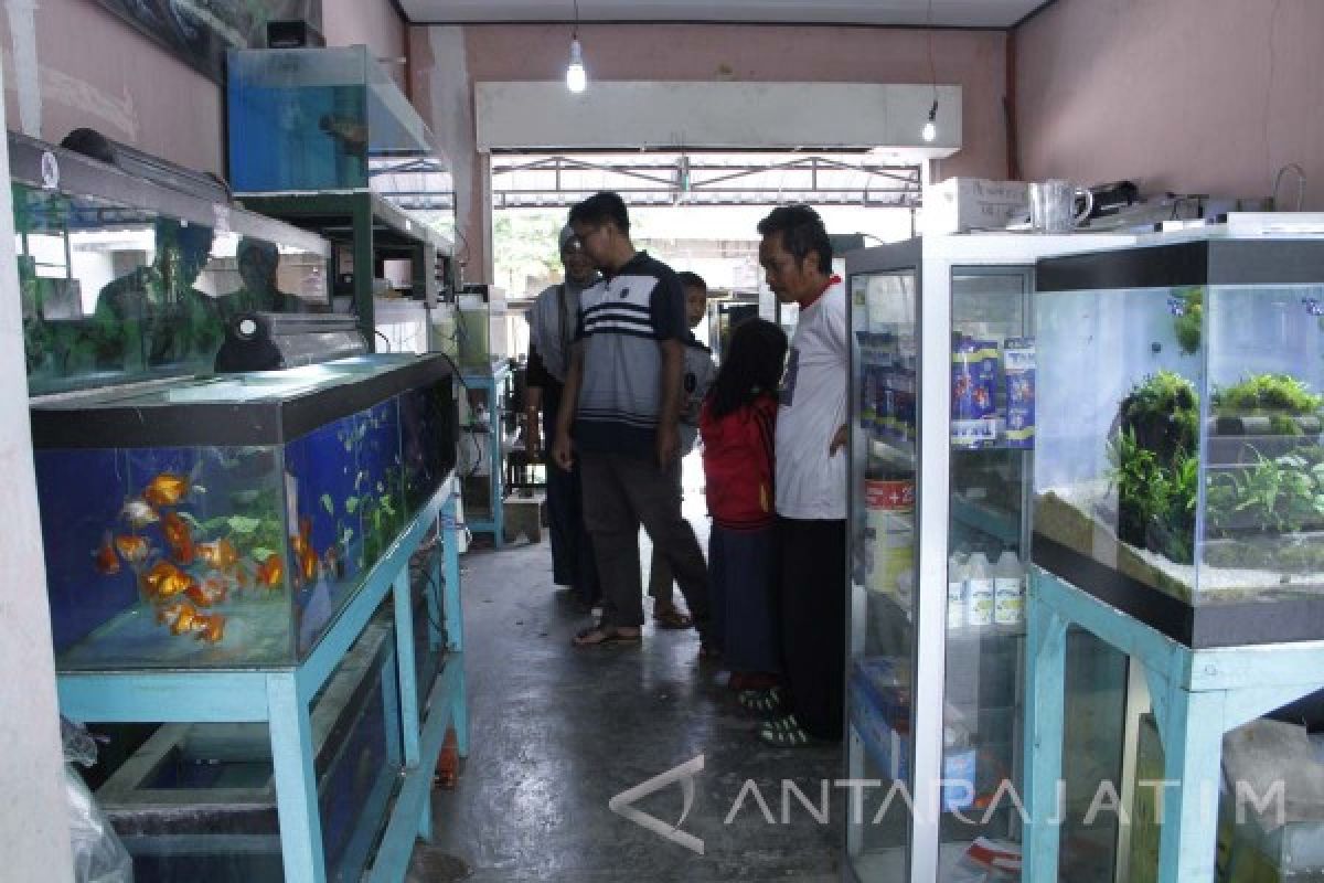 Kota Blitar Juara Laboratorium Kesehatan Ikan dan Lingkungan