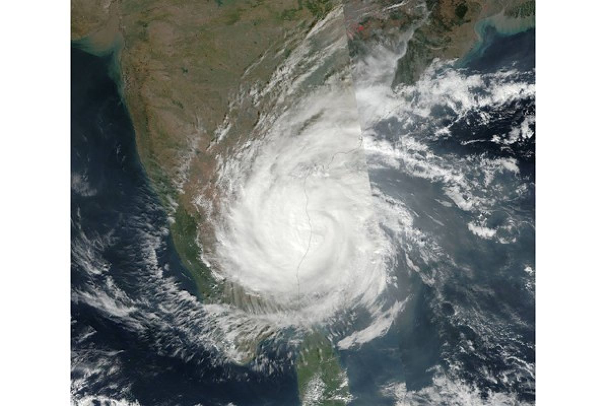 Topan Vardah tewaskan 10 orang di India Selatan