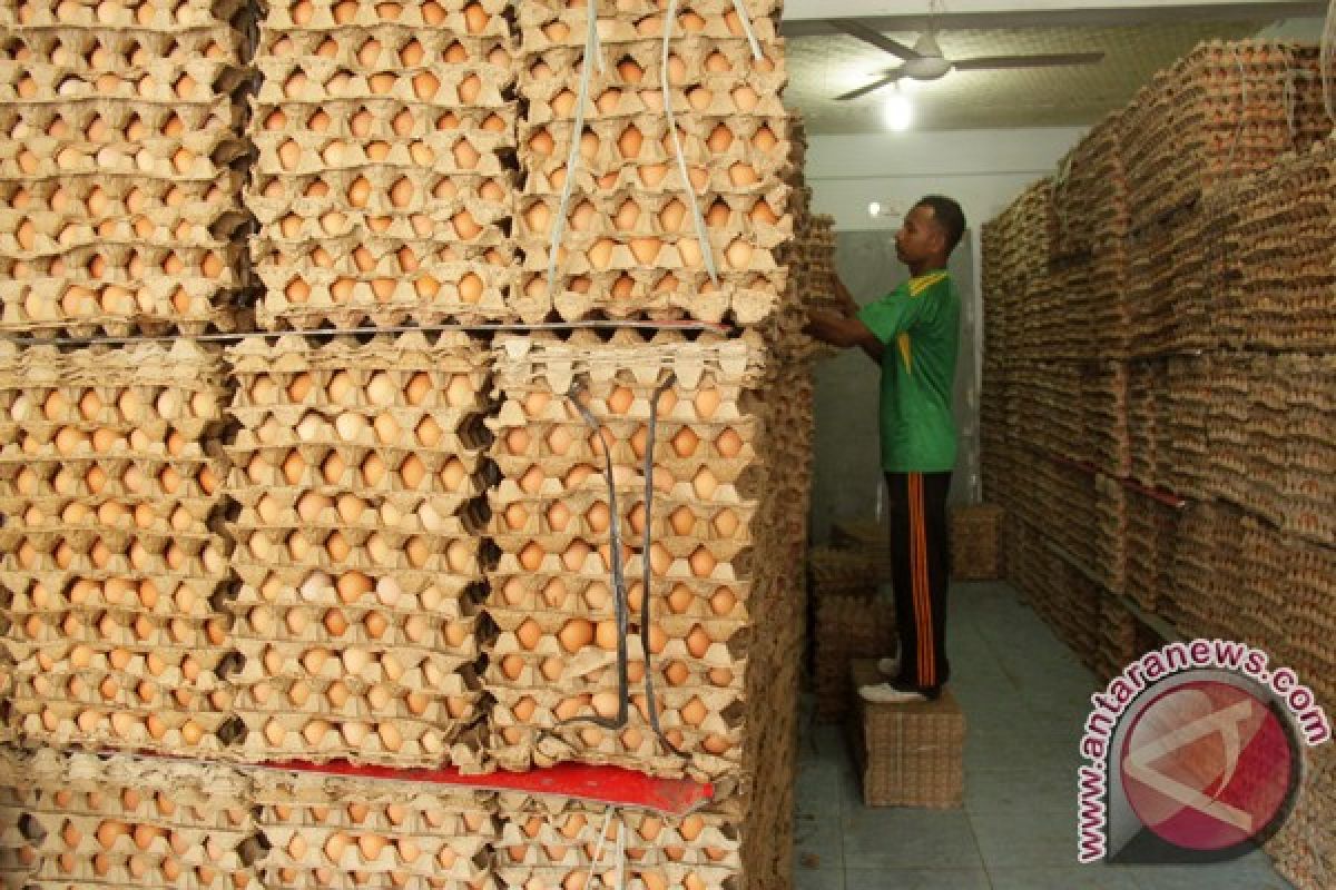 Harga telur di Lhokseumawe naik 20 persen