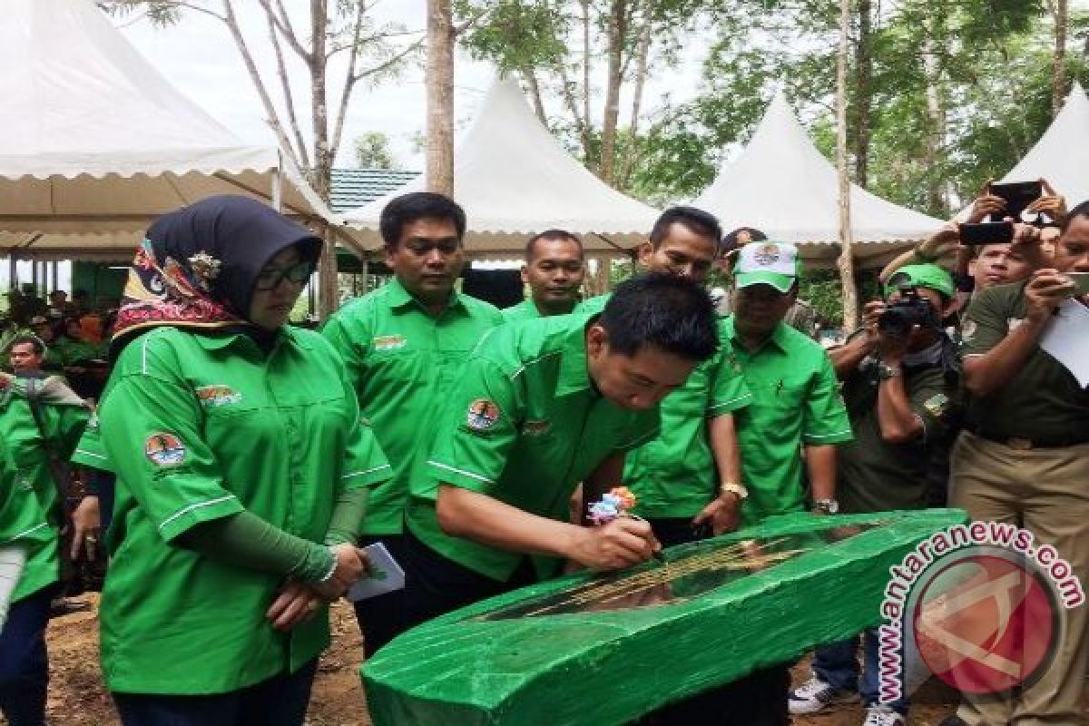 Sensasi Hutan Di Tengah Kota, Bupati Barut Resmikan Hutan Kota "Tumenggung Surapati"