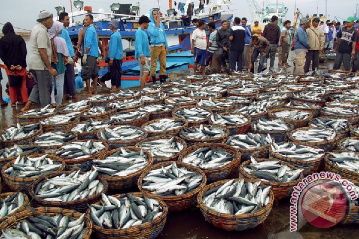 Tangkapan banyak harga ikan turun di Lhokseumawe