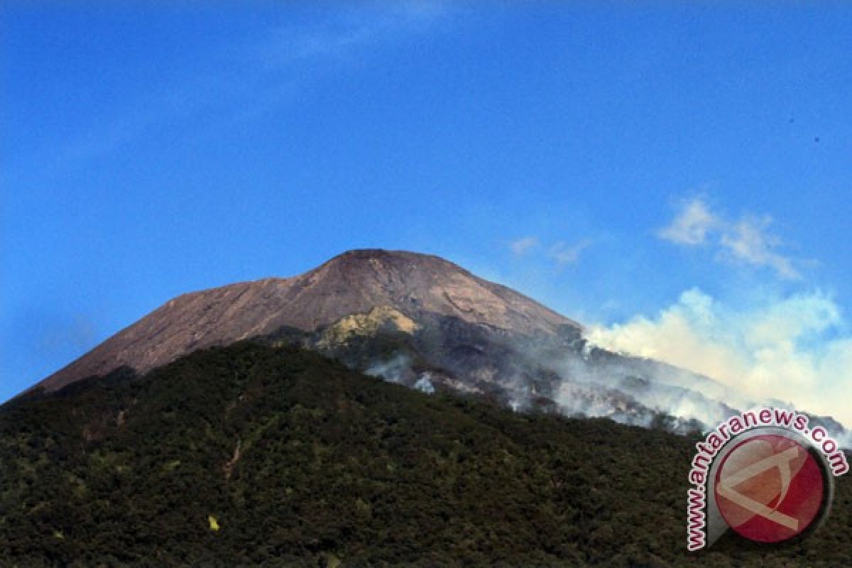 Sebagian hutan lereng Gunung Slamet terbakar