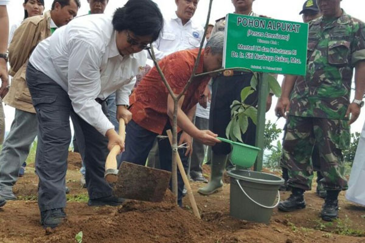 Menteri Siti kerap temukan hal istimewa "blusukan"