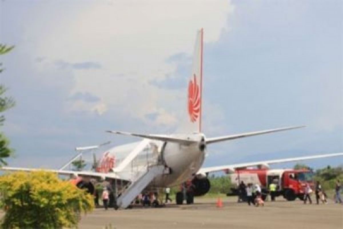 Pemerintah tegur Lion Air soal perilaku pilot