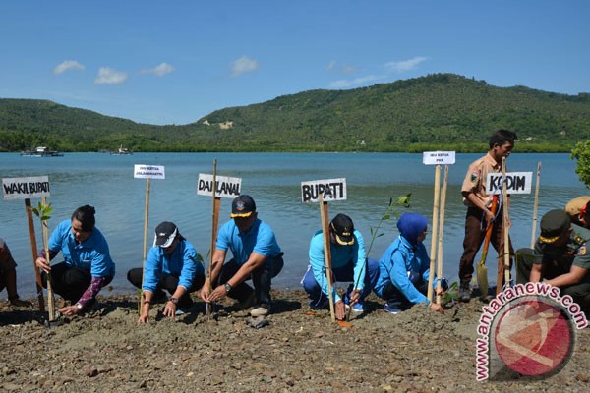 Wisata mangrove Gorontalo Utara mulai diminati