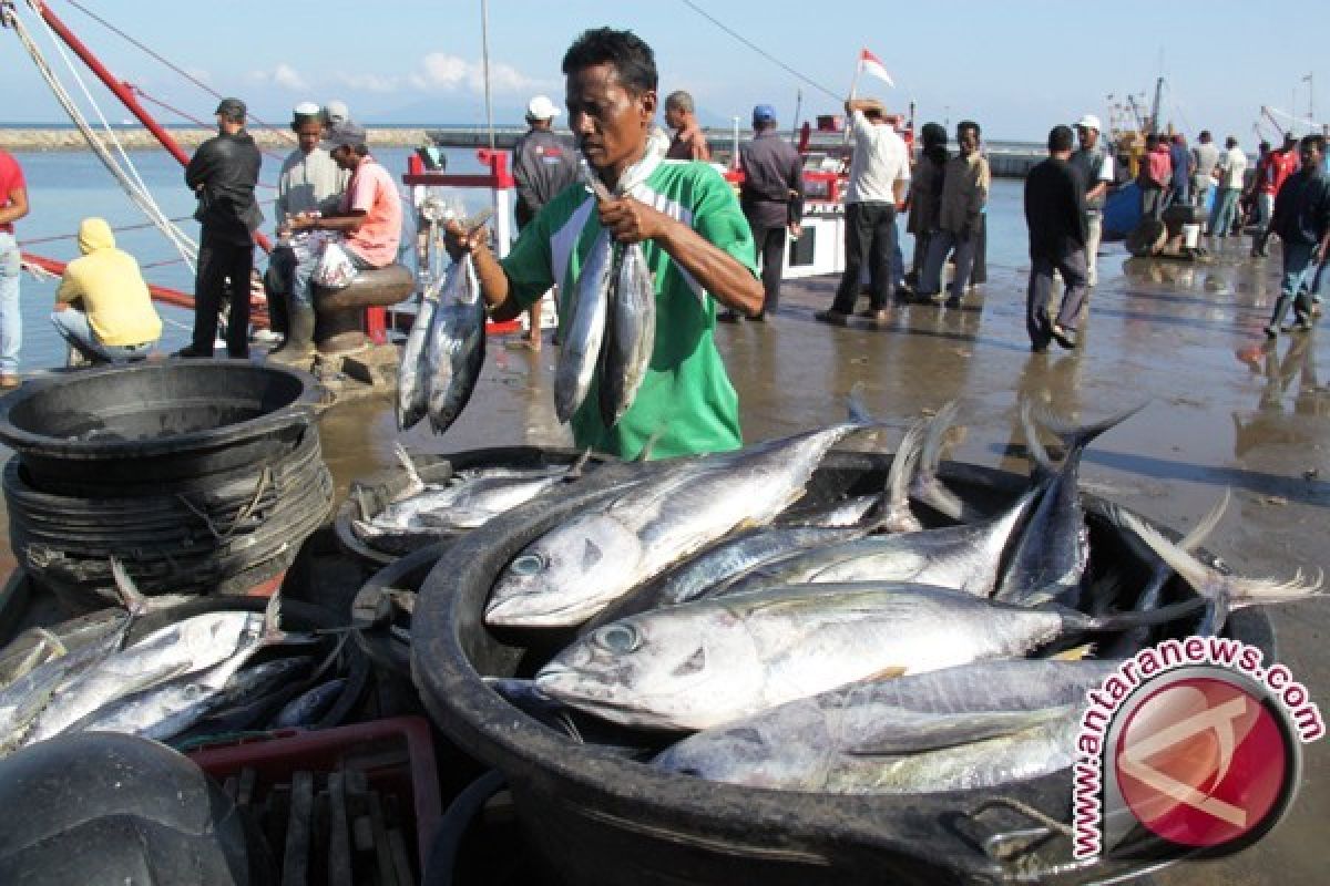 Nelayan Babel harapkan PT Timah bantu pasarkan ikan