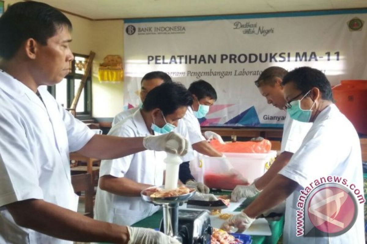 BI Gandeng Gianyar Dirikan Lab Mini MA-11