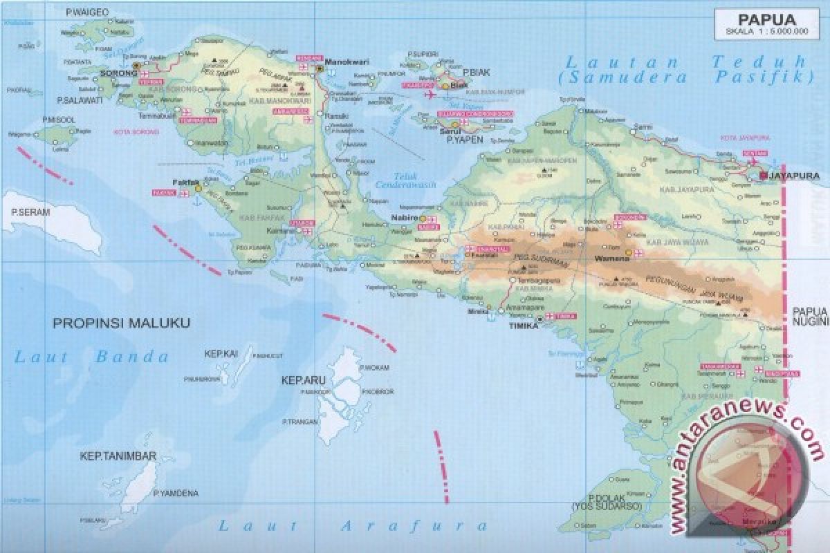 Pesawat Twin Otter milik PT Carperdiem tujuan Ilaga hilang kontak