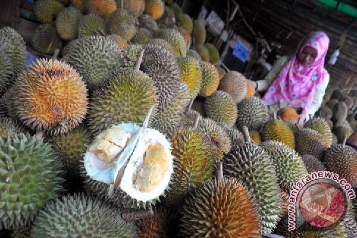 Durian semengok sakti khas OKU rasanya manis dan tebal