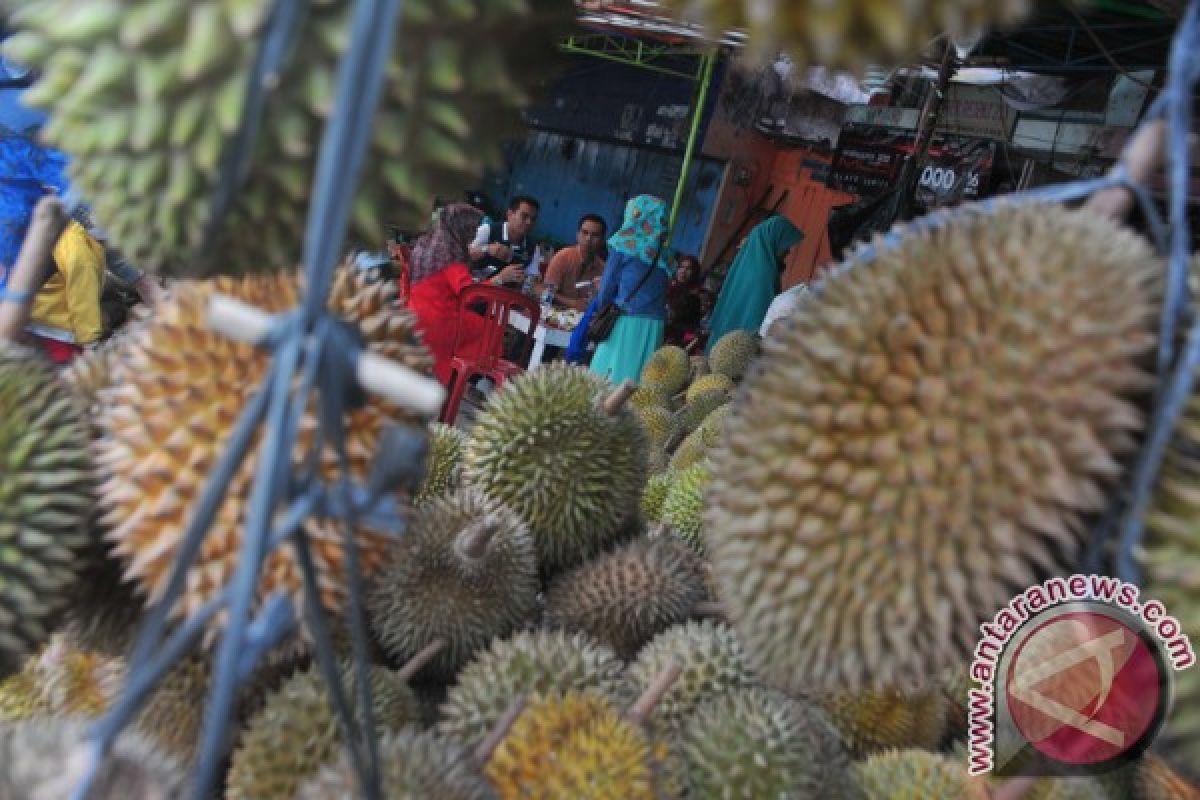 Durian Sumbar ramaikan pasar buah Palembang