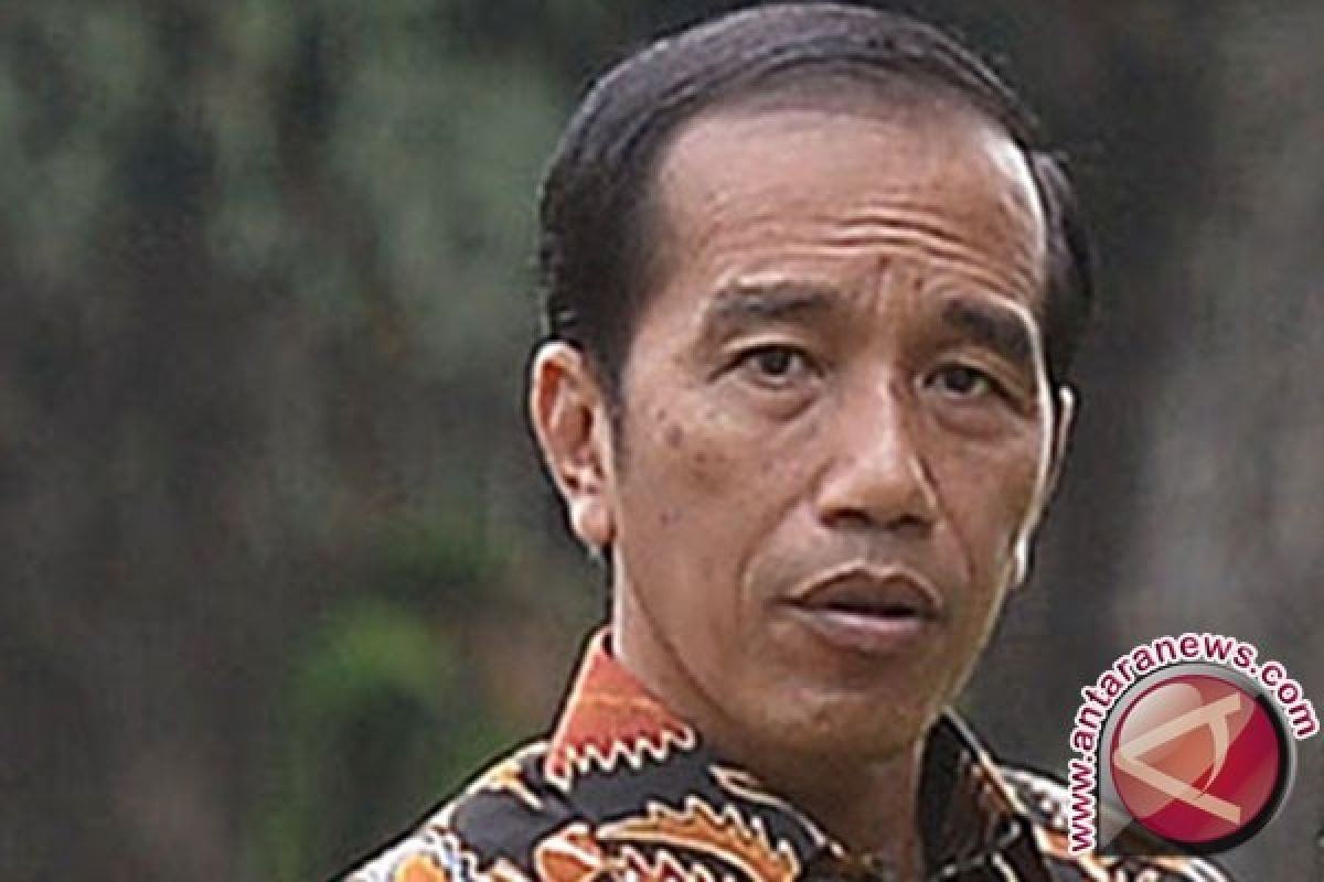 Presiden Jokowi berbelasungkawa atas jatuhnya pesawat TNI AU di Wamena